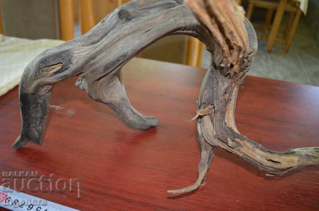 Livrarea Sagetatorul, un copac natural al muntelui, desigur