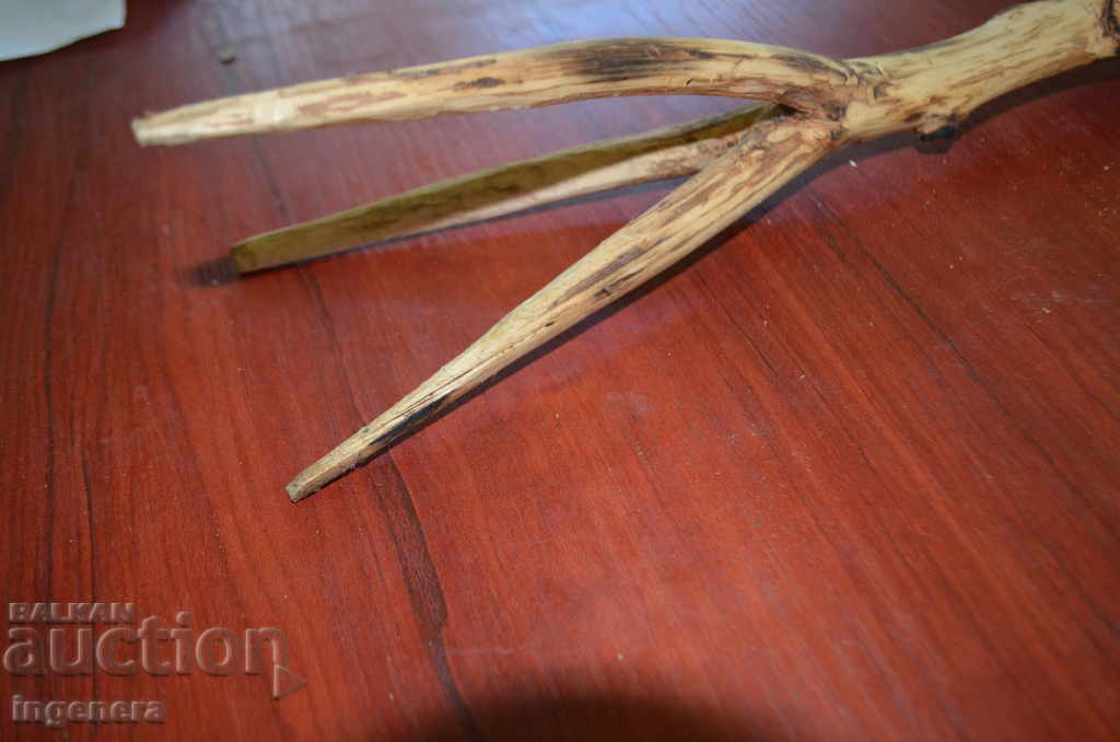 Licitație Triunghi pentru culegerea fructelor