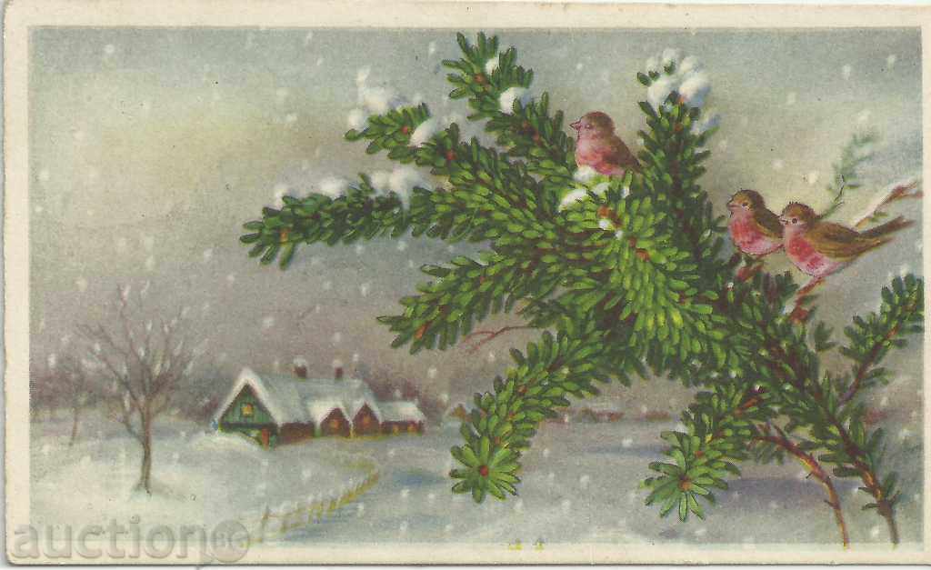 Old postcard, small format, greeting