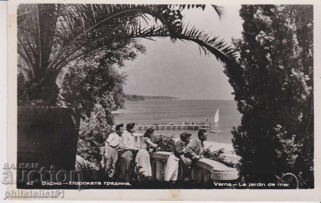 VARNA CARD - VIZE despre 1955 În 099