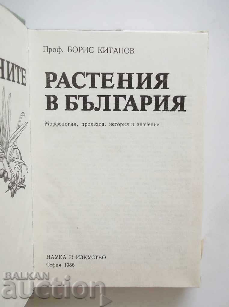 Културните растения в България - Борис Китанов 1986 г. с цена 17.00 лв. | € 8.69 Културните растения в България - Борис Китанов 1986 г. с цена 17.00 лв. | € 8.69