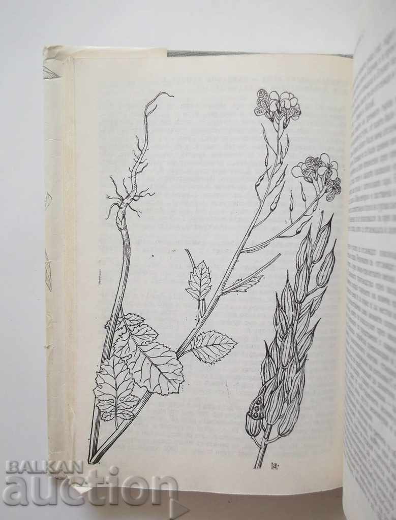 Аукцион Културните растения в България - Борис Китанов 1986 г. Аукцион Културните растения в България - Борис Китанов 1986 г.