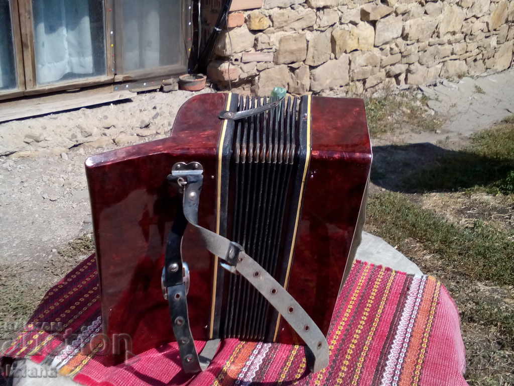 Old children's accordion - 6 Old children's accordion - 6