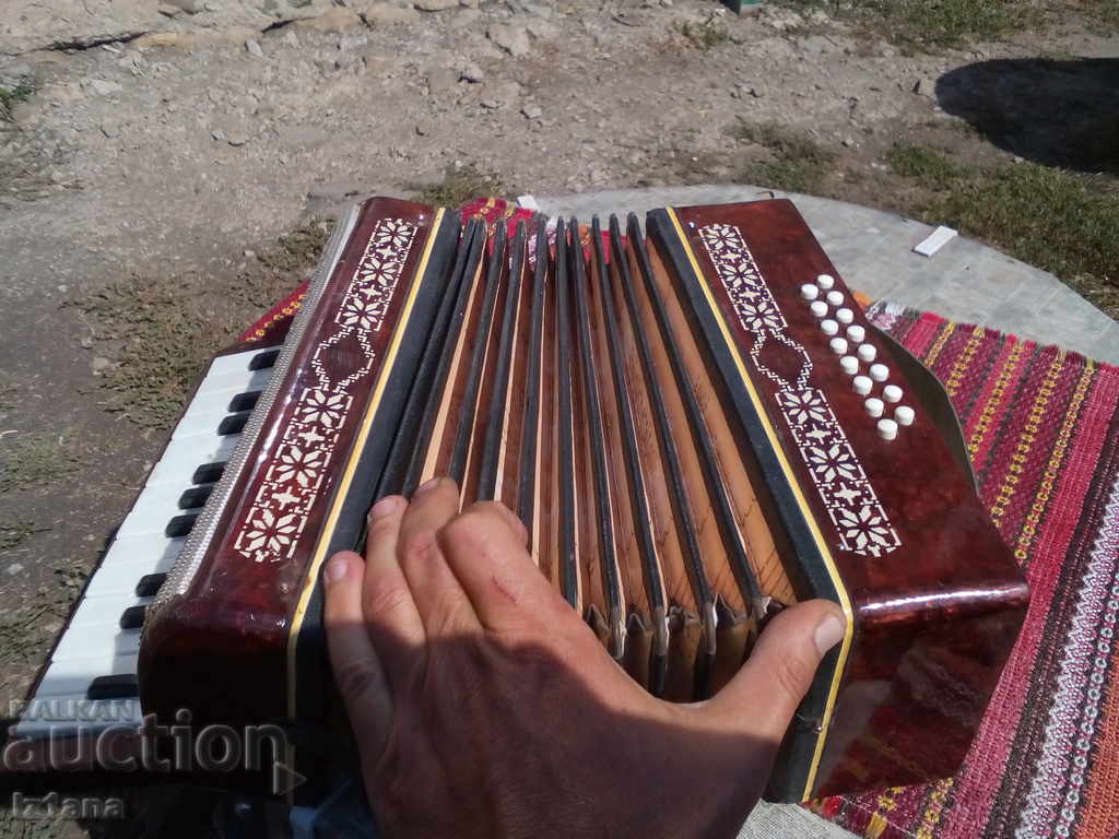 Old children's accordion - 7 Old children's accordion - 7