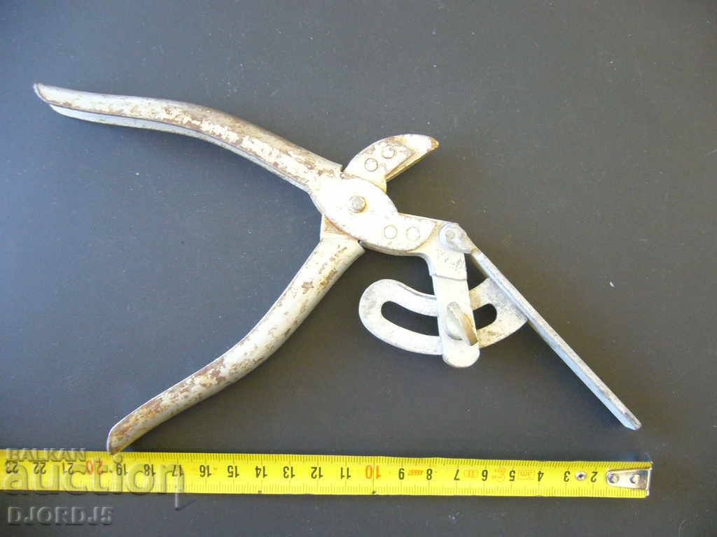 Livrarea Clestele vechi