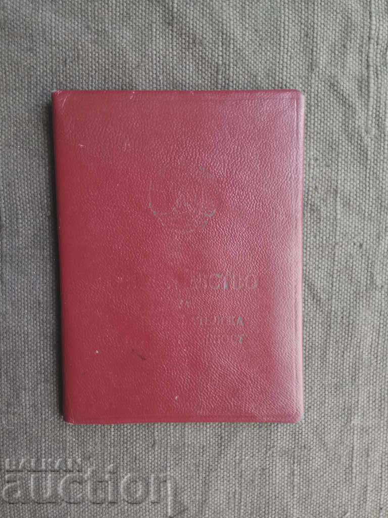 Teaching License Certificate DAI