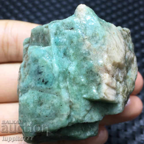 Amazonia cu preț 69.40 BGN | € 35.48 Amazonia cu preț 69.40 BGN | € 35.48