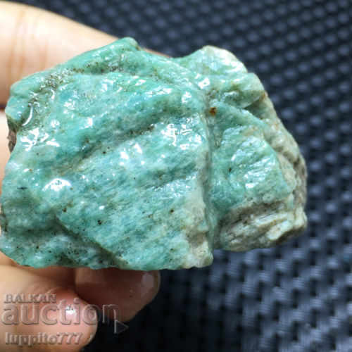 Licitație Amazonia Licitație Amazonia