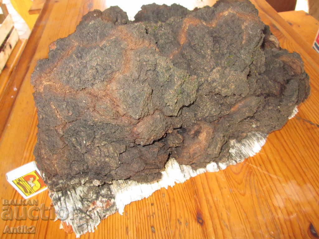 Unique sponge size DRESS -12kg. "The Diamond of the Forest" with price 4500.00 BGN | € 2300.81 Unique sponge size DRESS -12kg. "The Diamond of the Forest" with price 4500.00 BGN | € 2300.81