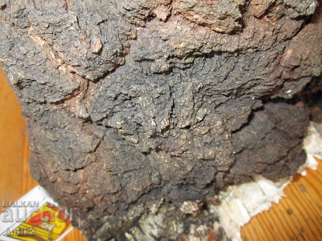 Auction Unique sponge size DRESS -12kg. "The Diamond of the Forest" Auction Unique sponge size DRESS -12kg. "The Diamond of the Forest"