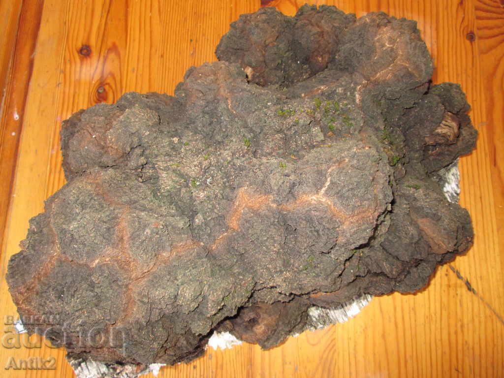 Unique sponge size DRESS -12kg. "The Diamond of the Forest" - 5 Unique sponge size DRESS -12kg. "The Diamond of the Forest" - 5