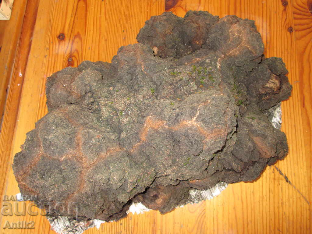 Unique sponge size DRESS -12kg. "The Diamond of the Forest" - 6 Unique sponge size DRESS -12kg. "The Diamond of the Forest" - 6