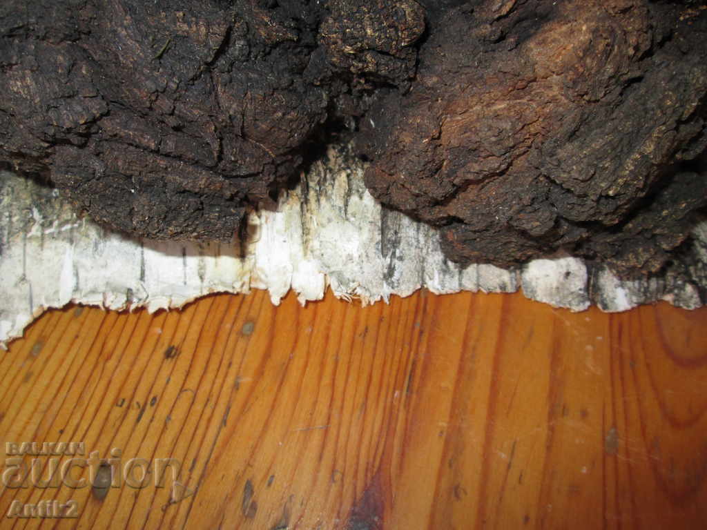 Unique sponge size DRESS -12kg. "The Diamond of the Forest" - 7 Unique sponge size DRESS -12kg. "The Diamond of the Forest" - 7