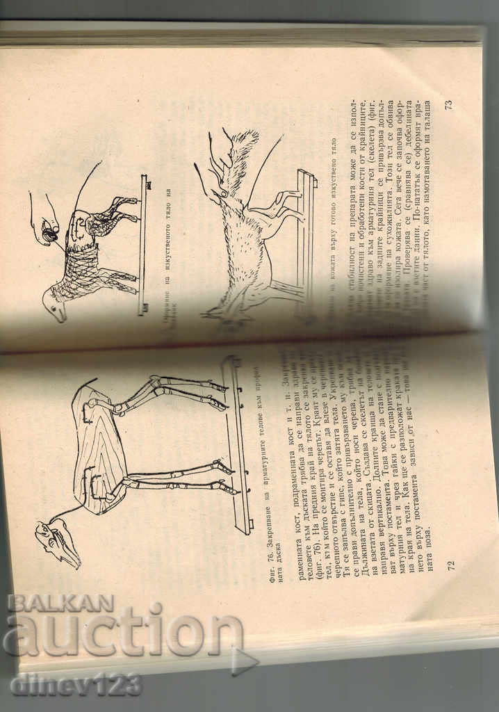 Auction SHORT GUIDANCE FOR RECORDING - E. LAMBREV Auction SHORT GUIDANCE FOR RECORDING - E. LAMBREV