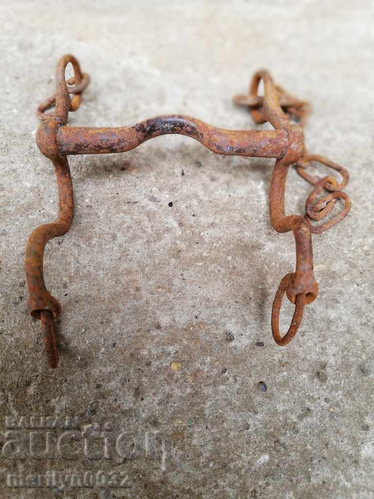 Delivery of Old army bridle, cavalry, harness, horseman Delivery of Old army bridle, cavalry, harness, horseman