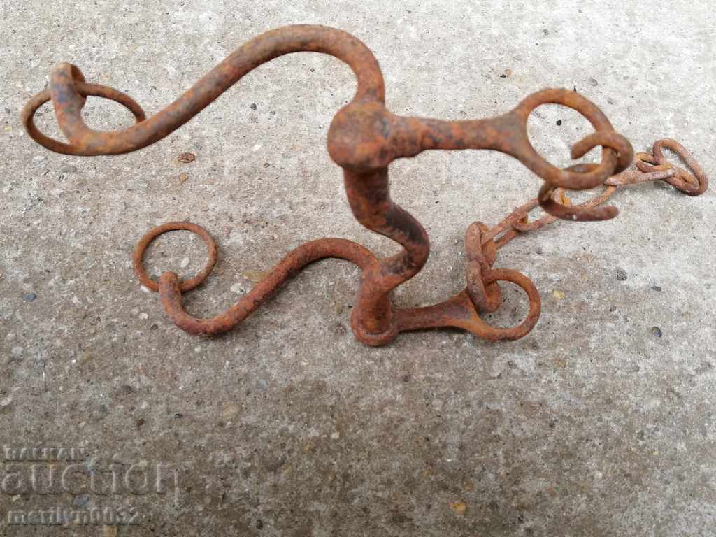 Old army bridle, cavalry, harness, horseman - 5 Old army bridle, cavalry, harness, horseman - 5