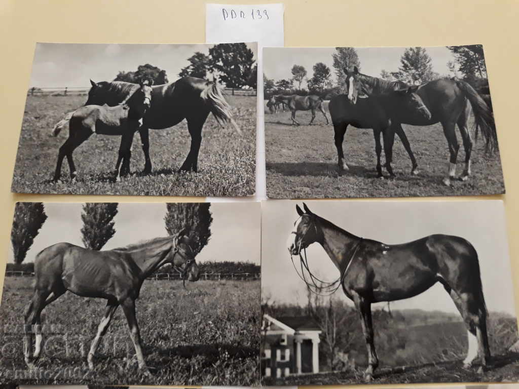 Postcards DDR 133 DDR with price 2.00 BGN | € 1.02 Postcards DDR 133 DDR with price 2.00 BGN | € 1.02