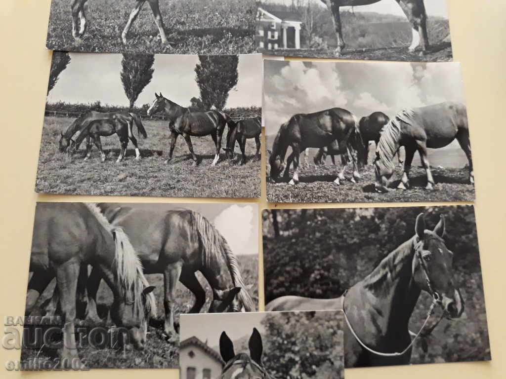 Auction Postcards DDR 133 DDR Auction Postcards DDR 133 DDR