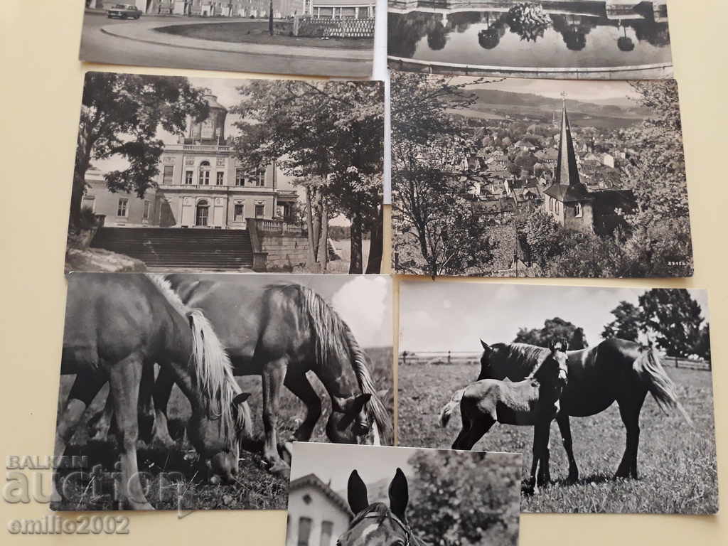 Auction  Postcards DDR 134 DDR