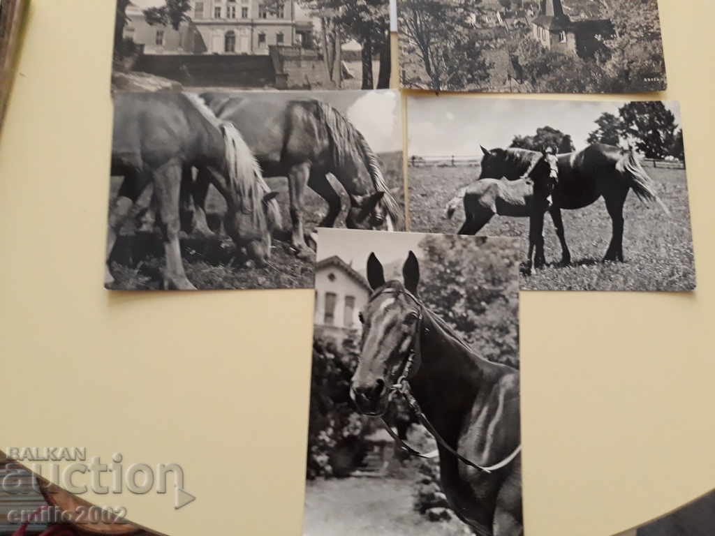 Delivery of Postcards DDR 134 DDR