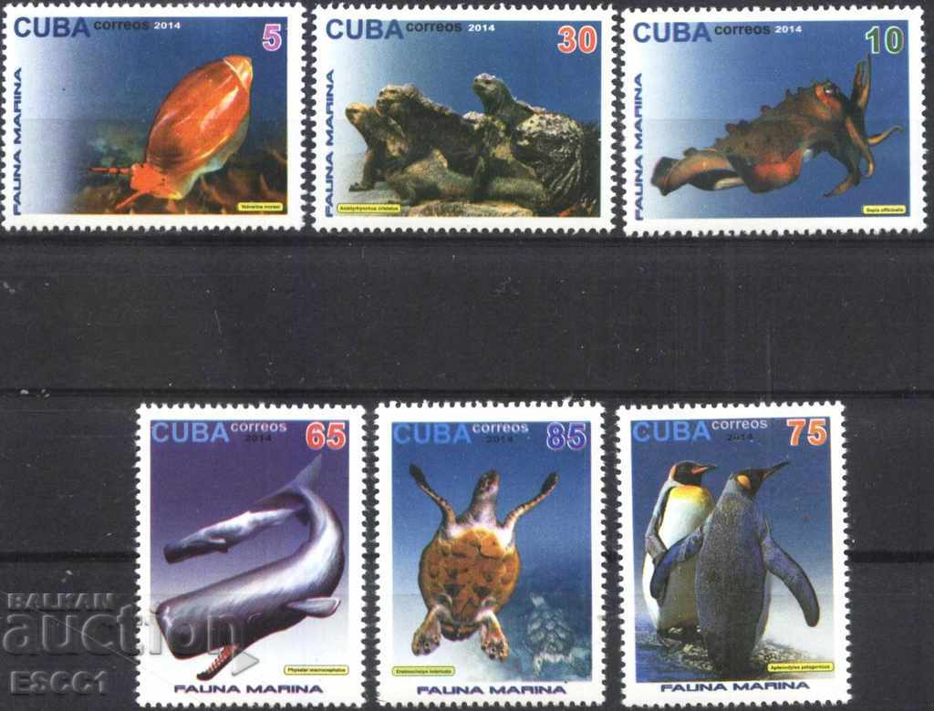 Καθαρίστε τα σήματα 2014 θαλάσσιας χλωρίδας της Κούβας