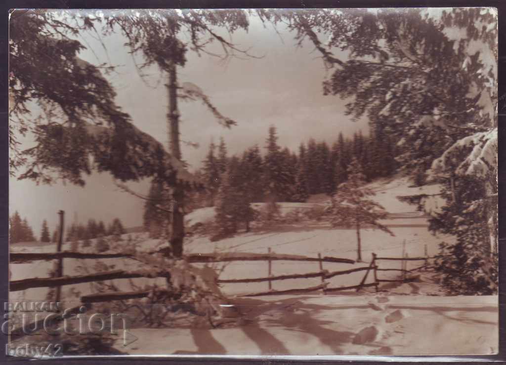 Χειμώνας στις Ροδόπες, πίσω επιγραφή 1964
