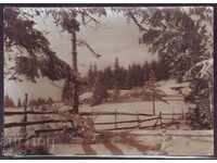 Зима в Родопите, гръб-надпис 1964 г.