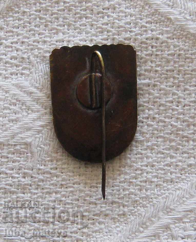 Auction ENERGY HPP VOLZHSKAYA VL. LENIN BADGE Auction ENERGY HPP VOLZHSKAYA VL. LENIN BADGE