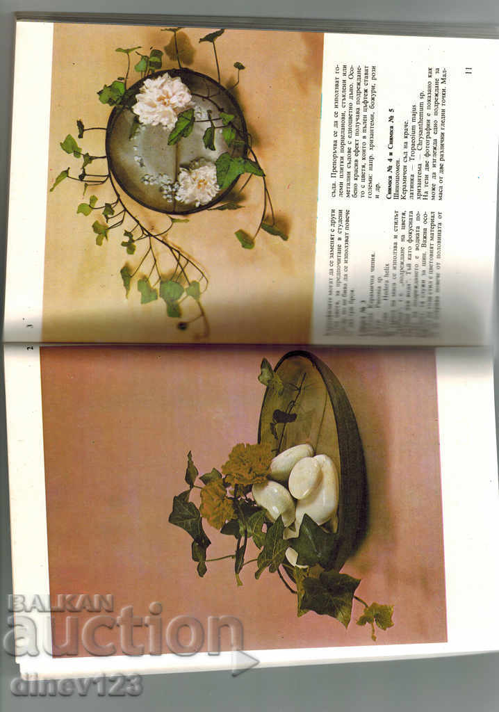 Auction  THE ART OF ICEBANA - RIMA MIRSKA