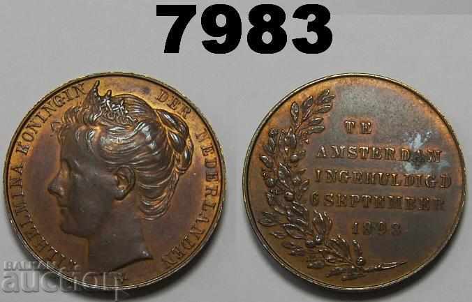 Olanda Medal 1898 Te Amsterdam Ingehuldigd 6 septembrie