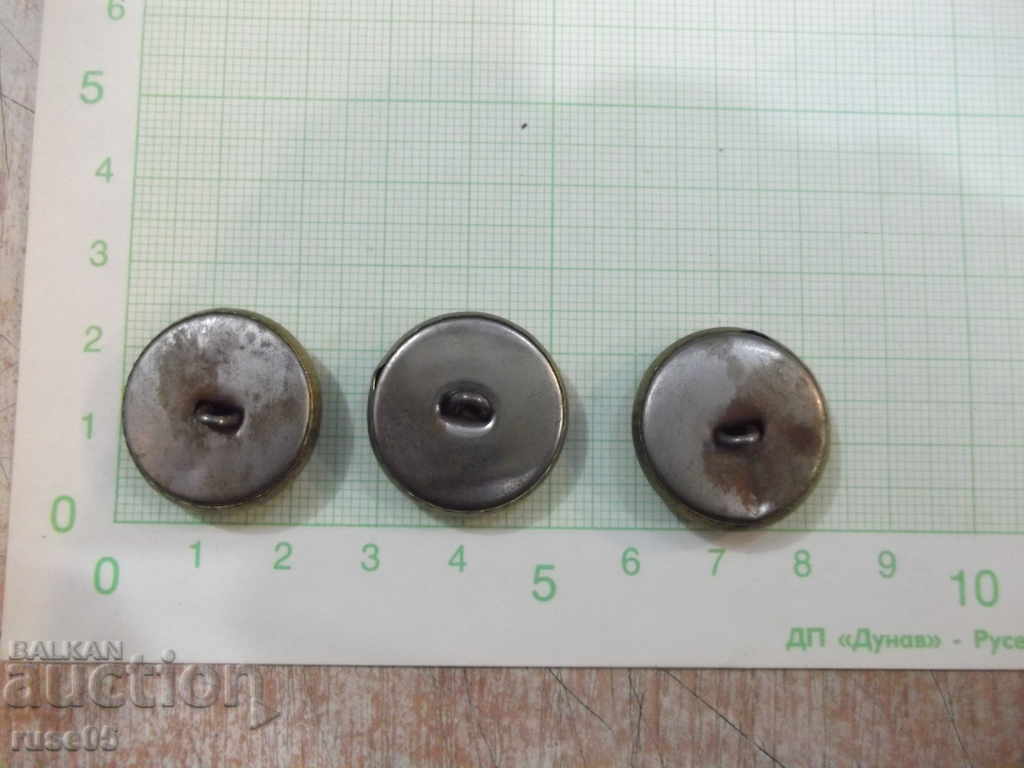 Auction  Lot of 3 pcs. seagull buttons