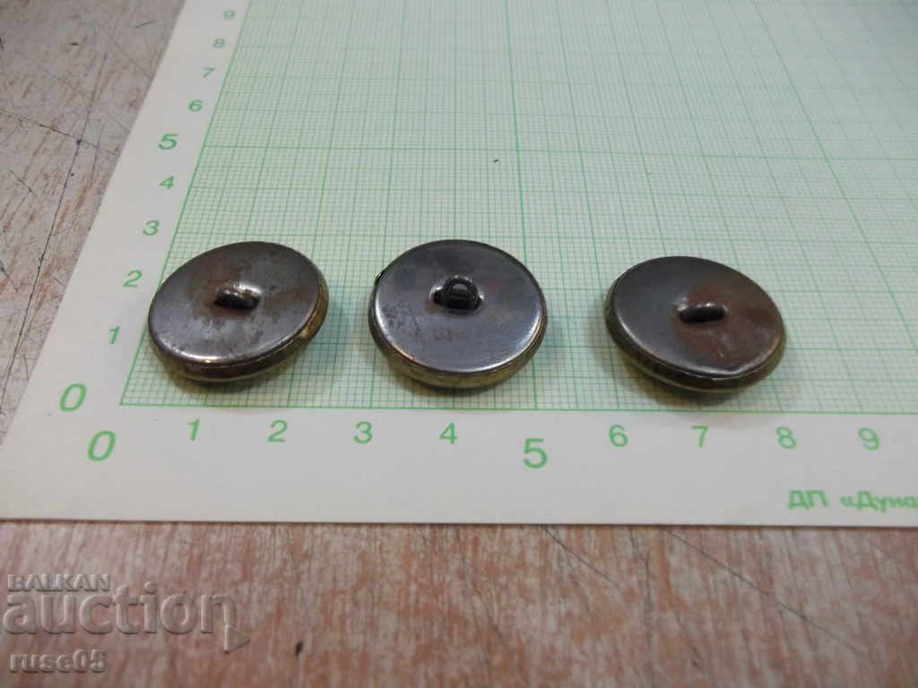 Delivery of Lot of 3 pcs. seagull buttons