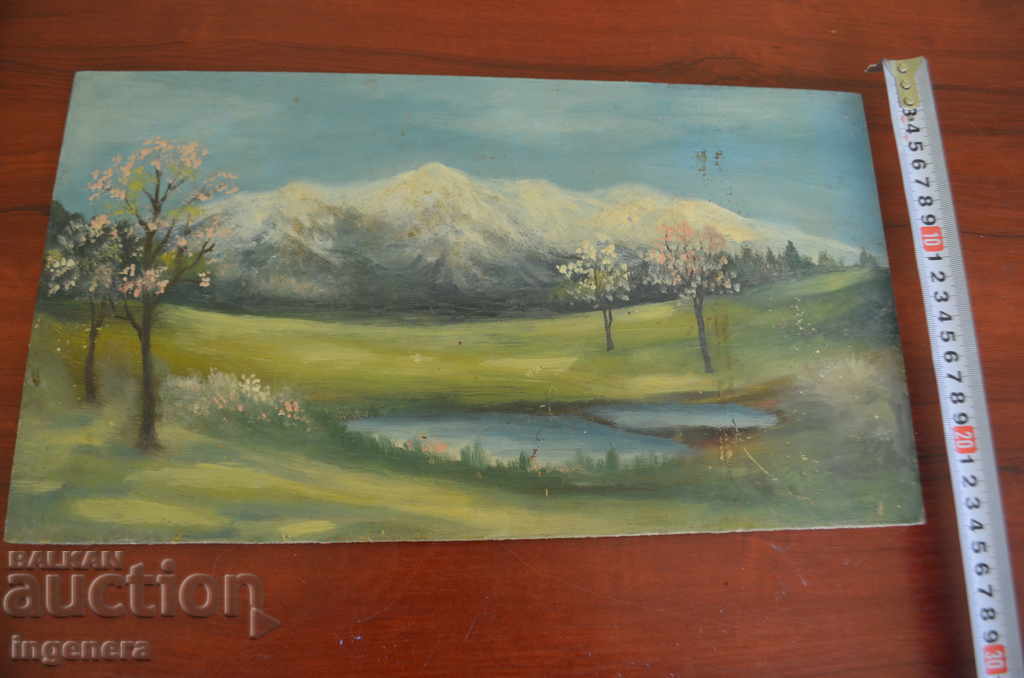 Auction PHOTO PICTURE Auction PHOTO PICTURE