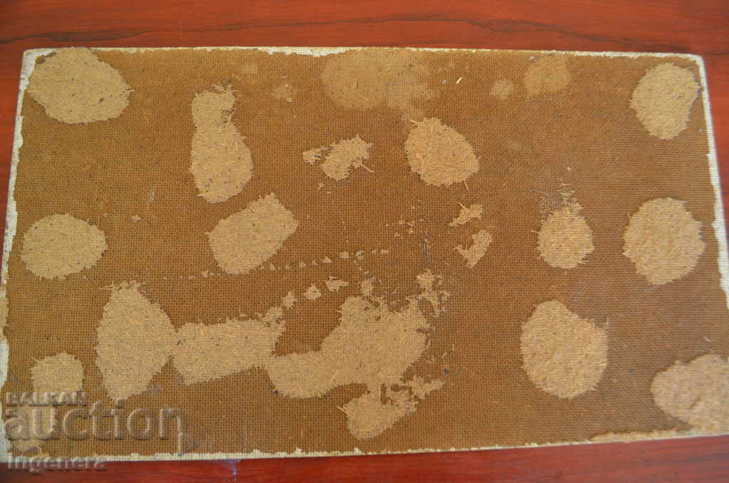 PHOTO PICTURE - 5 PHOTO PICTURE - 5