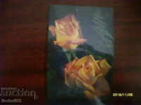 CARTE POȘTALĂ VECHE - URSS