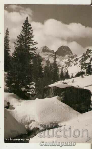 Κάρτα Bulgaria Rila Peak Maliovitsa 11**