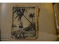 GHIRLANDĂ DIN HÂRTIE TIP CARTE DIN HAWAII