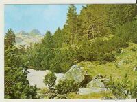 Card Bulgaria Rila Peak Maliovitsa 13**