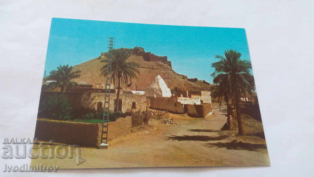 Carte poștală Souvenir D'el-Golea