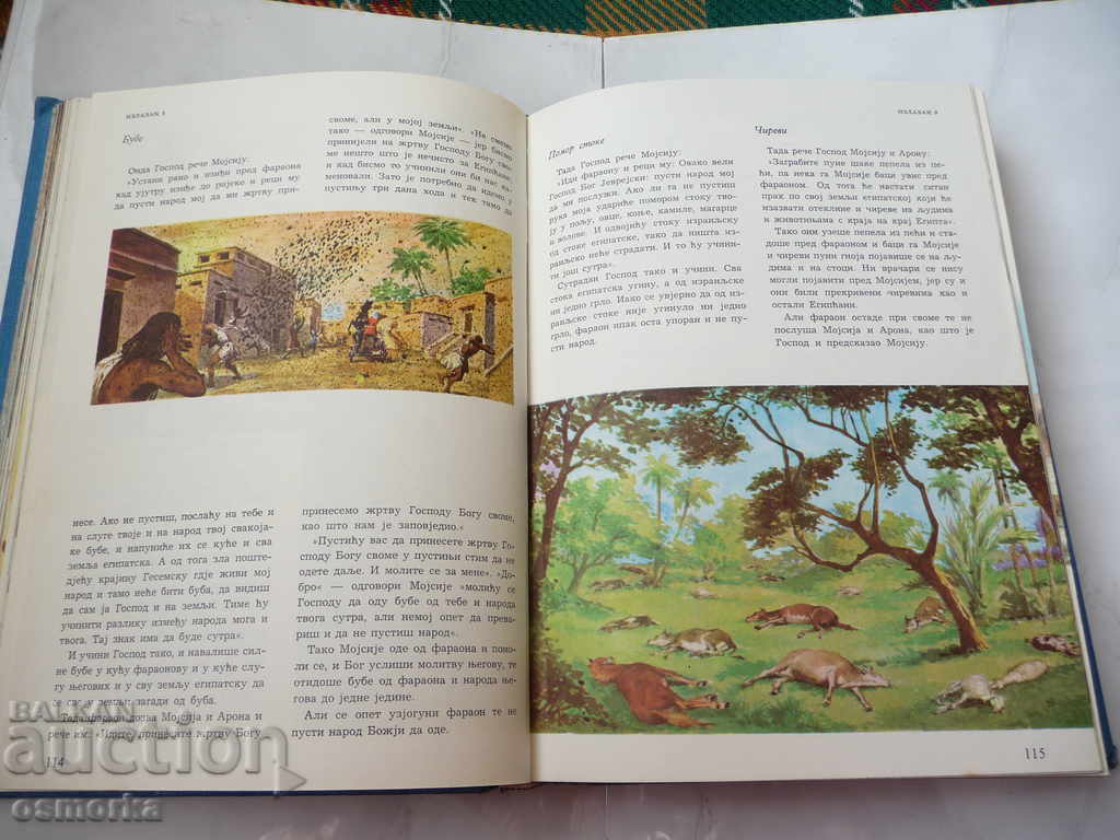 Auction Illustrious biblia for a youngster - Bible in pictures for children Auction Illustrious biblia for a youngster - Bible in pictures for children