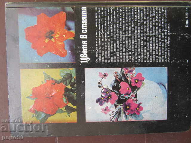 Delivery of FLOW IN THE ROOM - DF Yuimchuk (1983) Delivery of FLOW IN THE ROOM - DF Yuimchuk (1983)