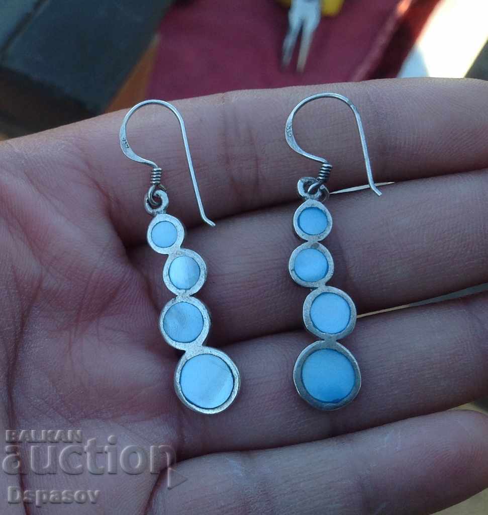 Silver 925 Earrings with Cedar