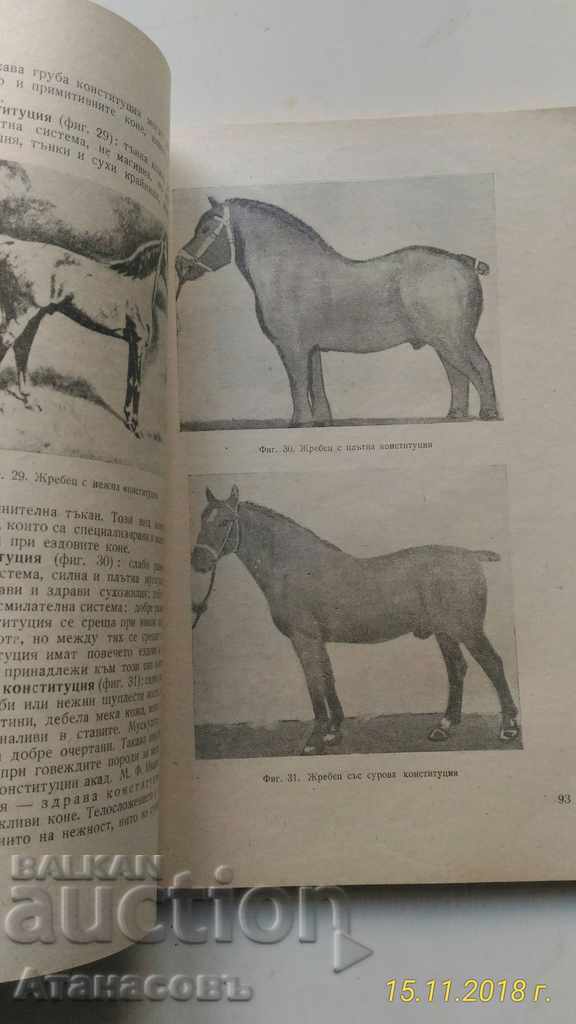 Οδηγός για την εκτροφή αγροτικών ζώων με τιμή € 9.00 | 17.60 BGN