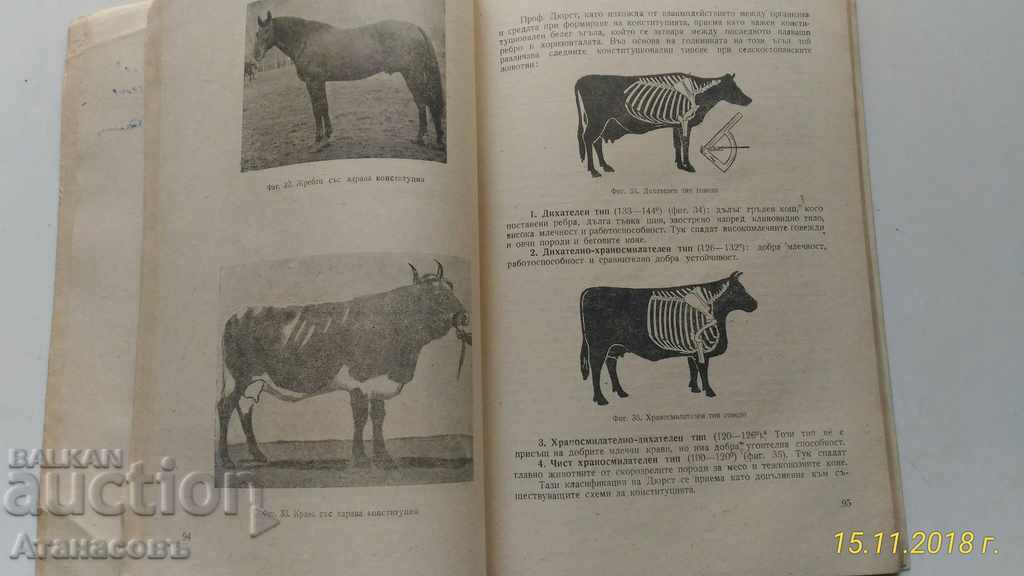 Auction Guide to breeding farm animals Auction Guide to breeding farm animals