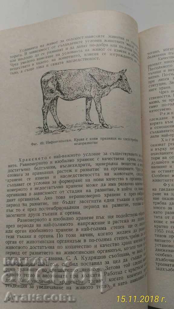 Οδηγός για την εκτροφή αγροτικών ζώων - 5