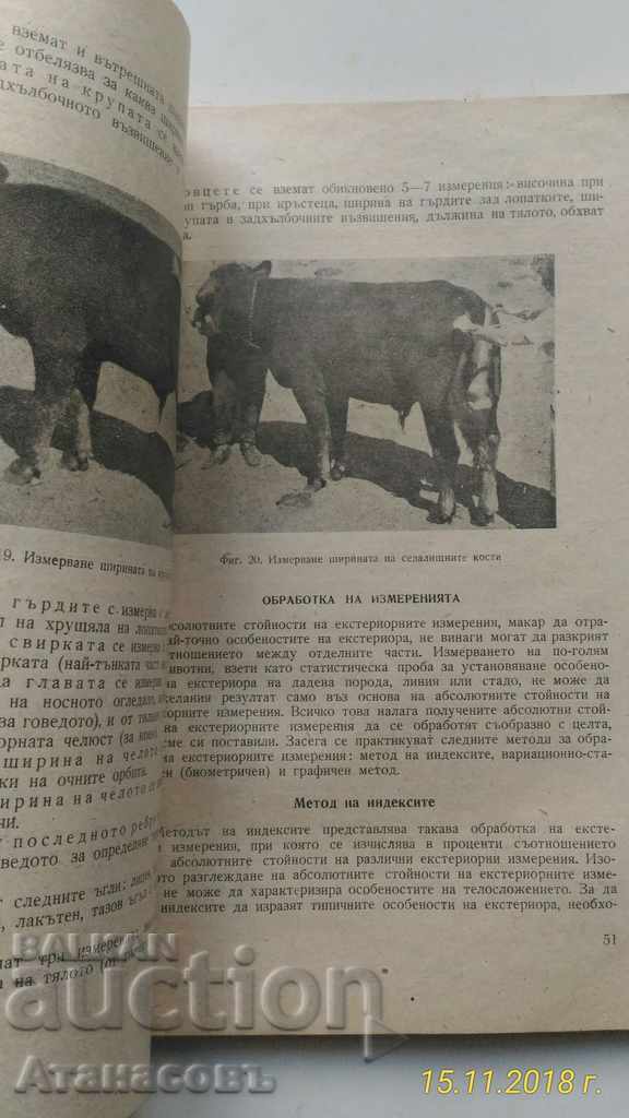 Οδηγός για την εκτροφή αγροτικών ζώων - 7