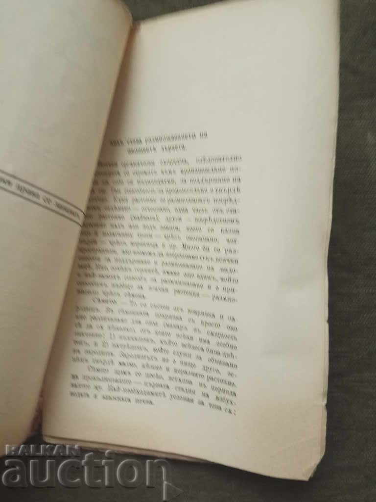 Auction A short guide to fruit growing. S. Belov Auction A short guide to fruit growing. S. Belov