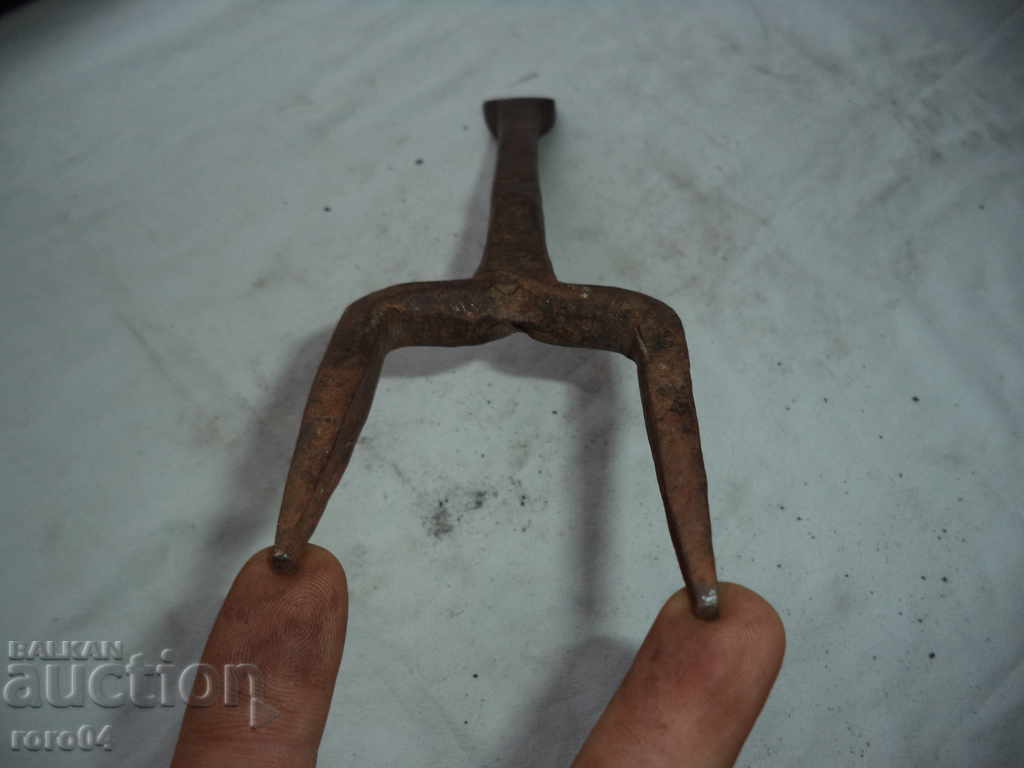 STAR HORSES HORSES - 5