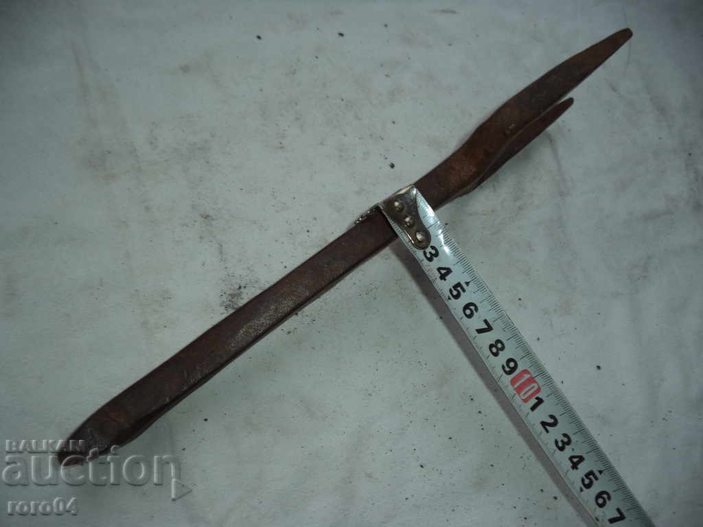 STAR HORSES HORSES - 7