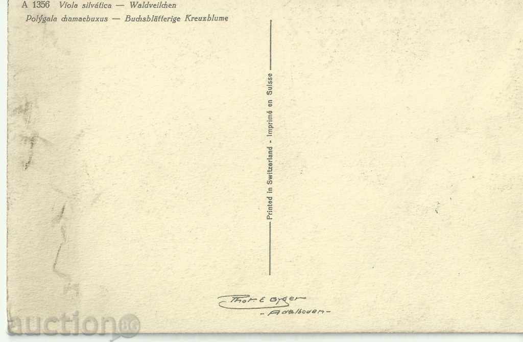 Παλιά καρτ ποστάλ, λουλούδια με τιμή 1.00 BGN | € 0.51 Παλιά καρτ ποστάλ, λουλούδια με τιμή 1.00 BGN | € 0.51